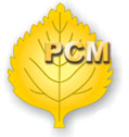Новая стратегия развития РСМ